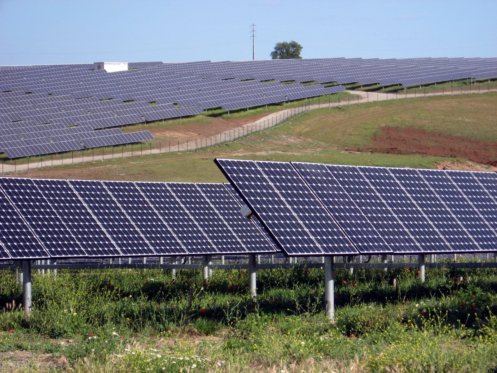 Photorealistic view of a large solar power plant with rows of photovoltaic panels.