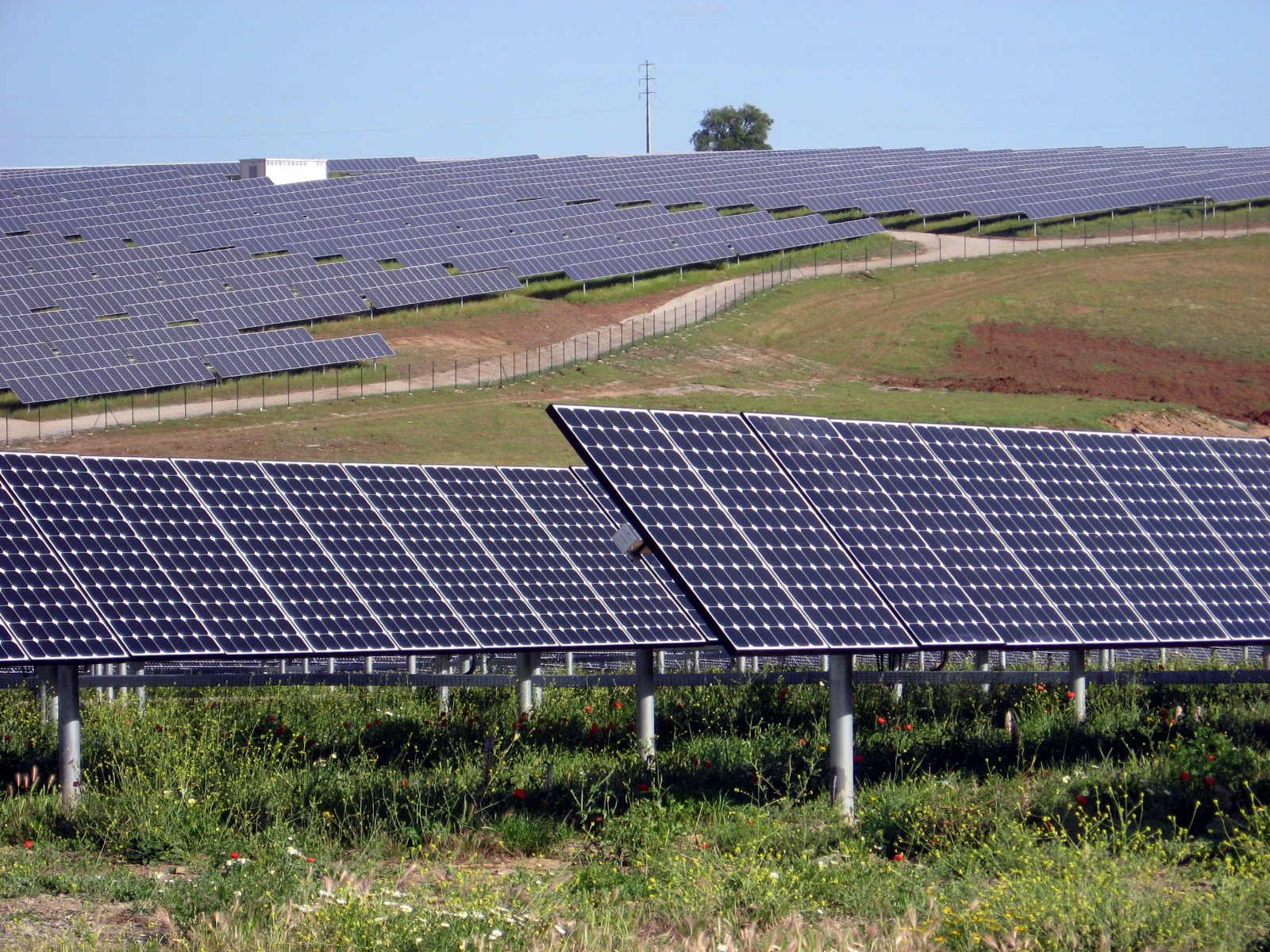 Photorealistic view of a large solar power plant with rows of photovoltaic panels.